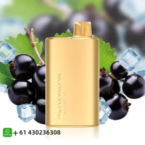 Alibarbar Rich Blueberry Ice  8000 Puffs