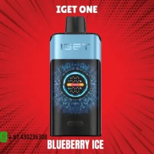 IGET One Blueberry Ice 12000 puffs