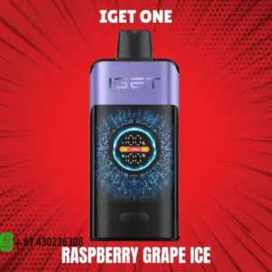 IGET One Raspberry Grape Ice 12000 puffs