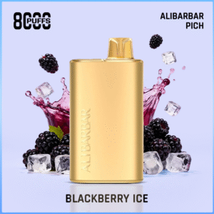 Alibarbar Rich Blueberry Ice 8000 Puffs