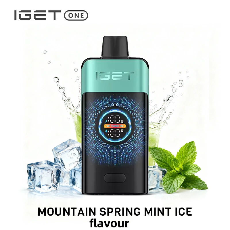 IGET One Mountain Spring Mint Review: Best Mint Vape in Australia?