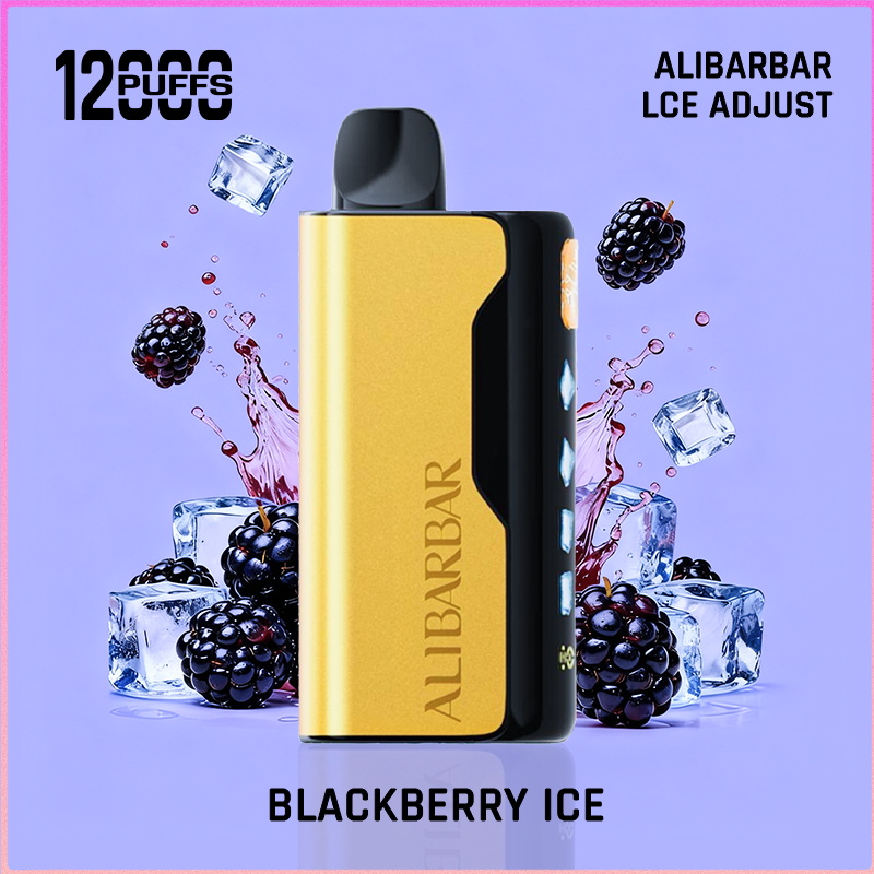 ALIBARBAR Ice Adjust 12000 Puffs Blackberry