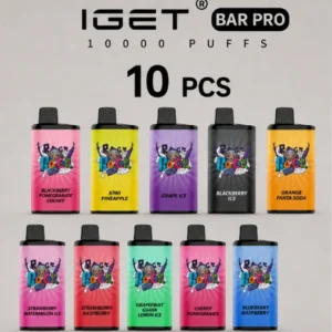 IGET Bar Pro 10000 Puffs 10PCS Disposable Vape | 24 Flavours Available