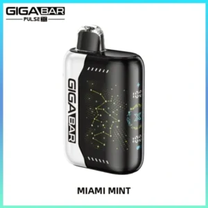 GIGA BAR PULSE X 25,000 Puffs Miami Mint