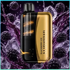 Alibarbar Swirl 13000 Puffs Blackberry ice